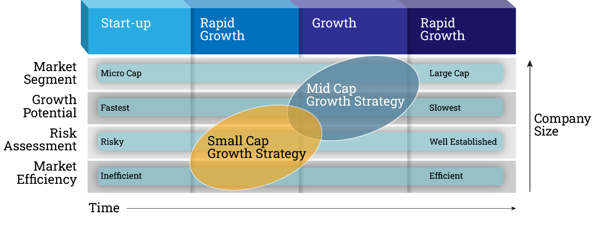 Growth strategy chart