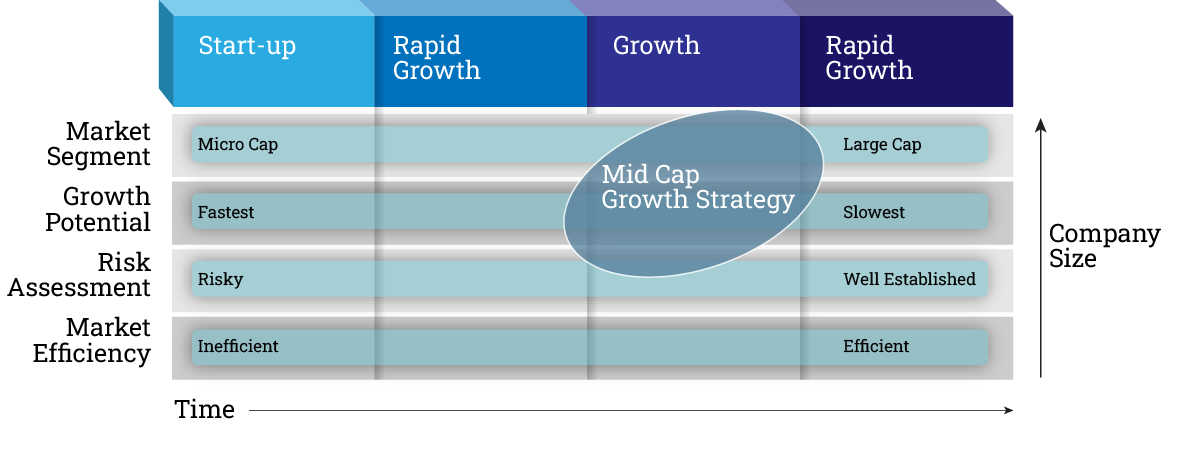 Mid Cap Growth Strategy