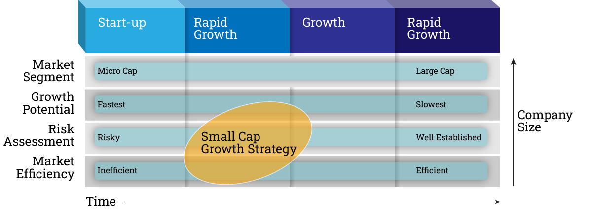 Small Cap Growth Strategy