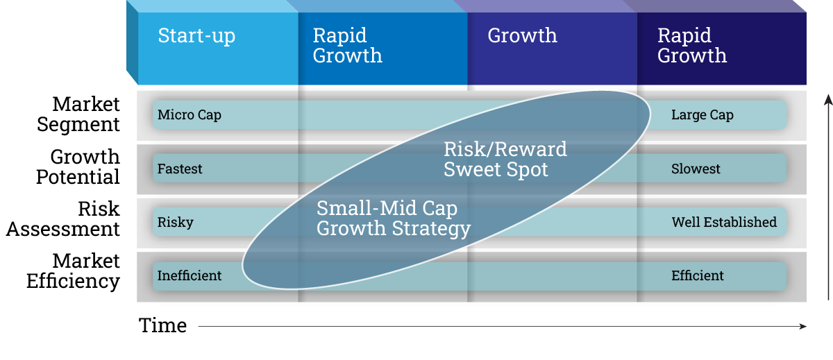 Small Mid Cap