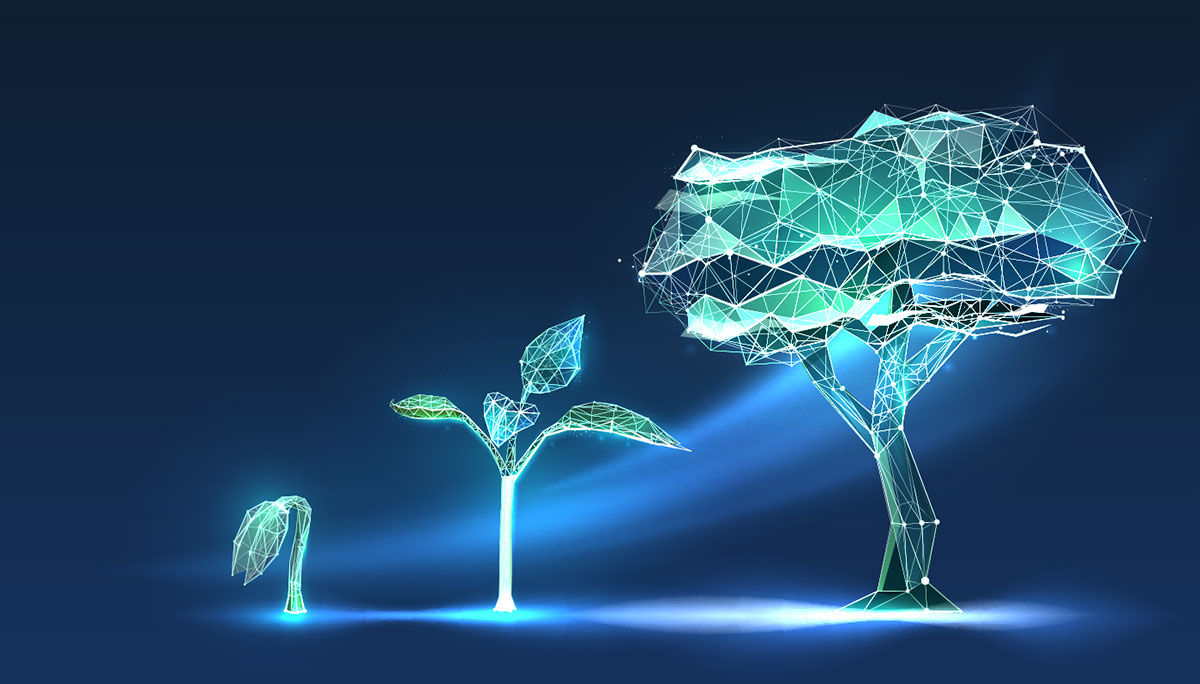 bud, plant, tree